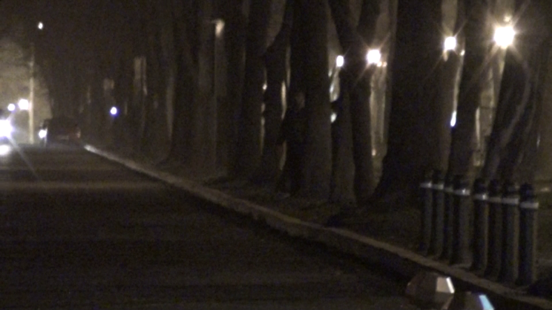 Isi dau seama ca sunt urmariti si abandoneaza prada printre copaci