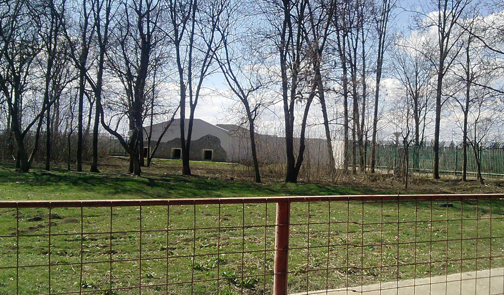 Tarcul ii va gazdui de acum incole pe cei doi ursi ai lui Nutu