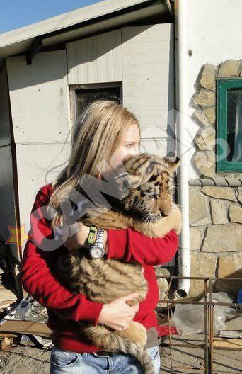 Diana nu rateaza nicio ocazie sa se pozeze cu animale salbatice. Iata cum tine strans in brate un pui de tigru!