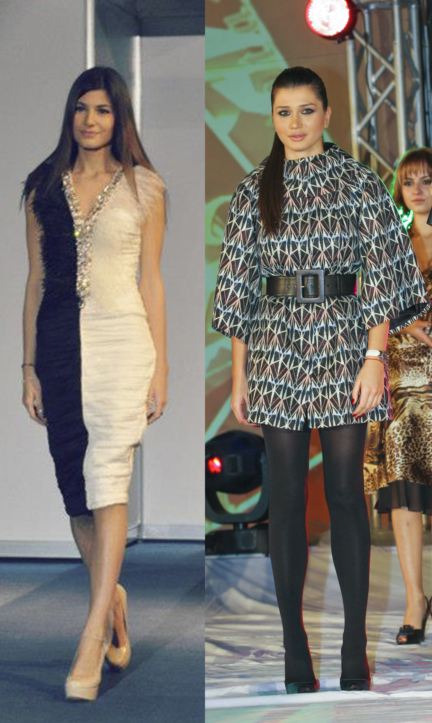 Ana Geoana Elena Basescu