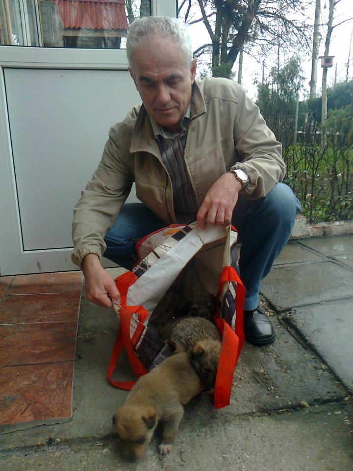 Sorin alaturi de cei trei catelusi salvati din tramvai
