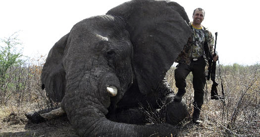 Gheorghe Iaciu are in palmares si un elefant(foto:agvps.ro)