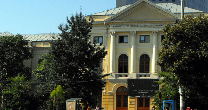 Milionarul a donat Muzeului Antipa o parte din trofeele sale de vanatoare