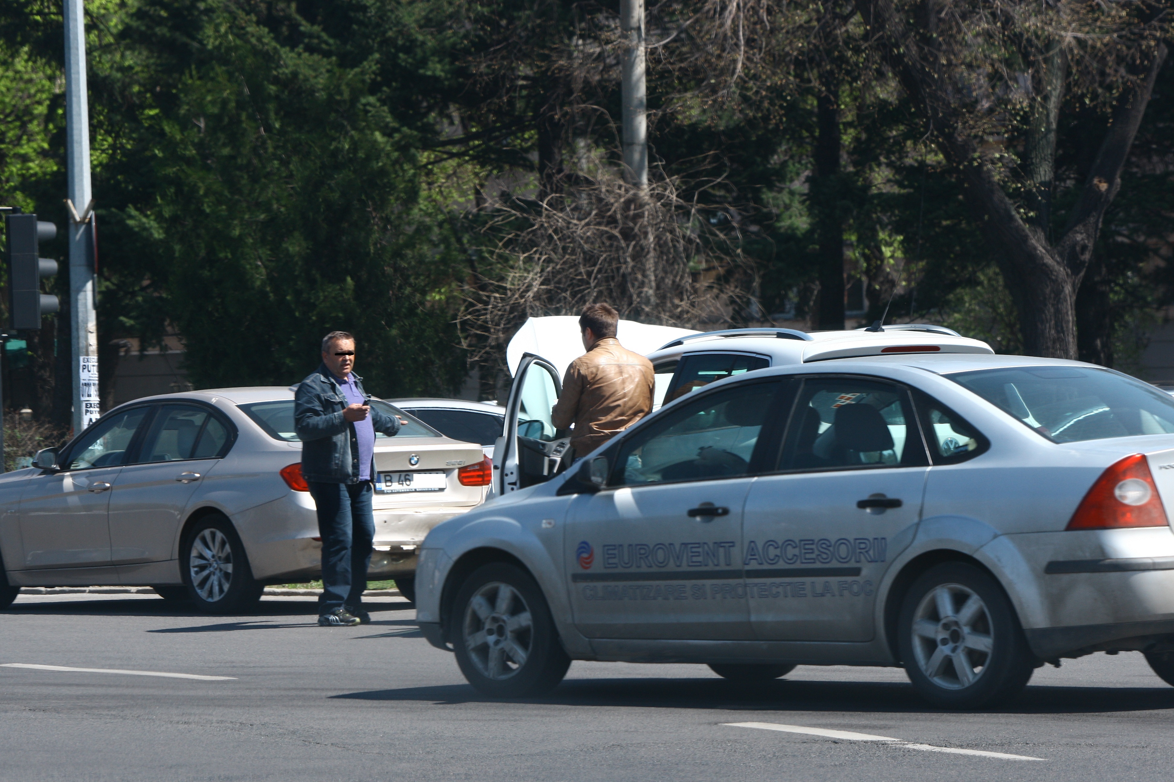 accident andreea raicu