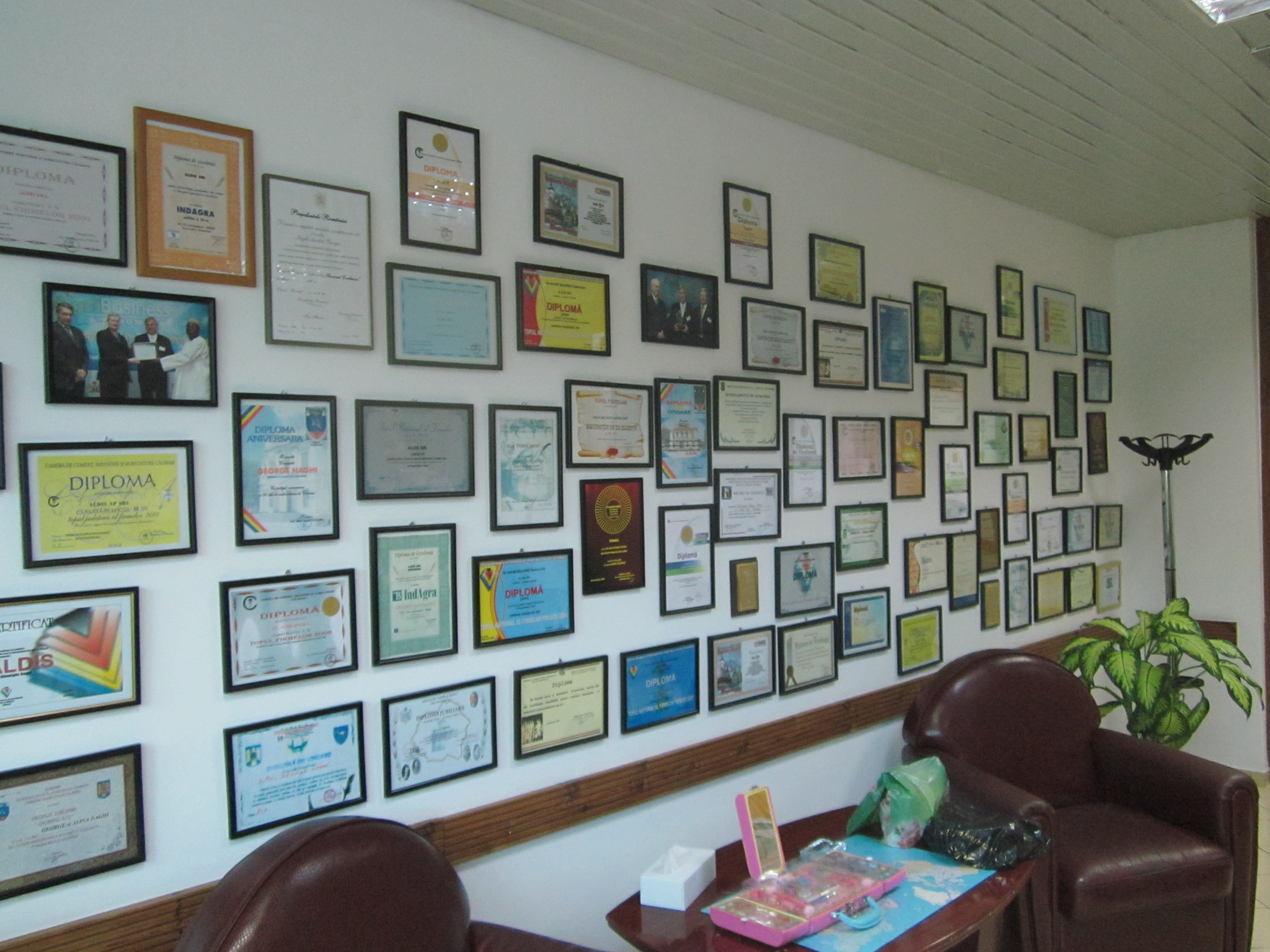 Peretii fabricii Aldis sunt 