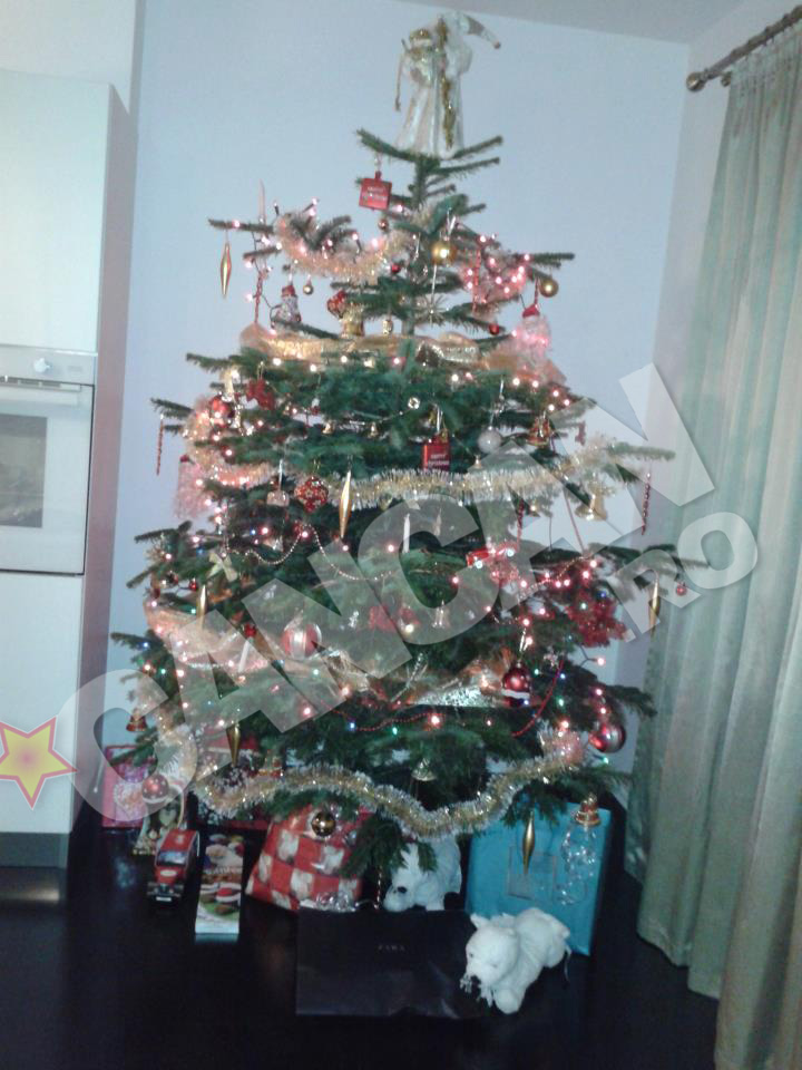 Mariana a impodobit bradul copiilor lui Florin Salam