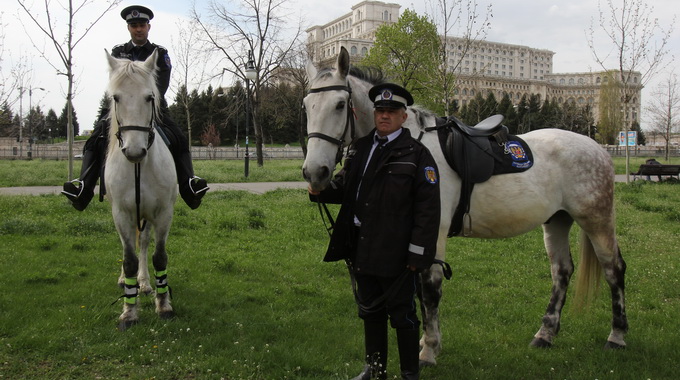 Agentul impreuna cu Titu asigura paza in parcurile din Capitala