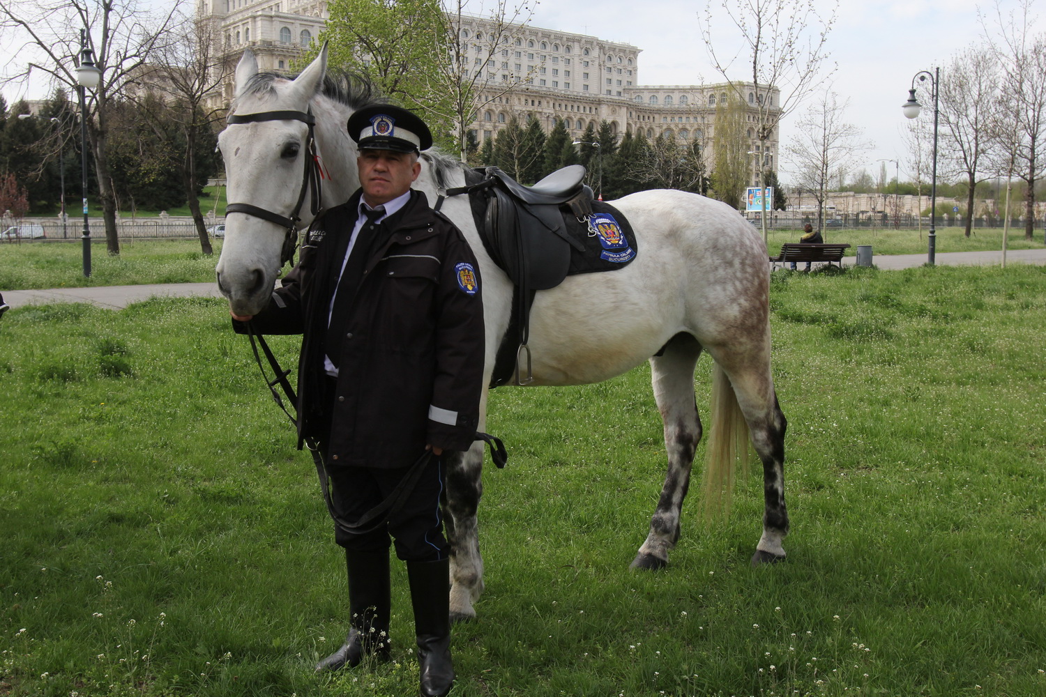 Calul este singurul din dotarea Patrulei Calare care te pupa daca ii spui