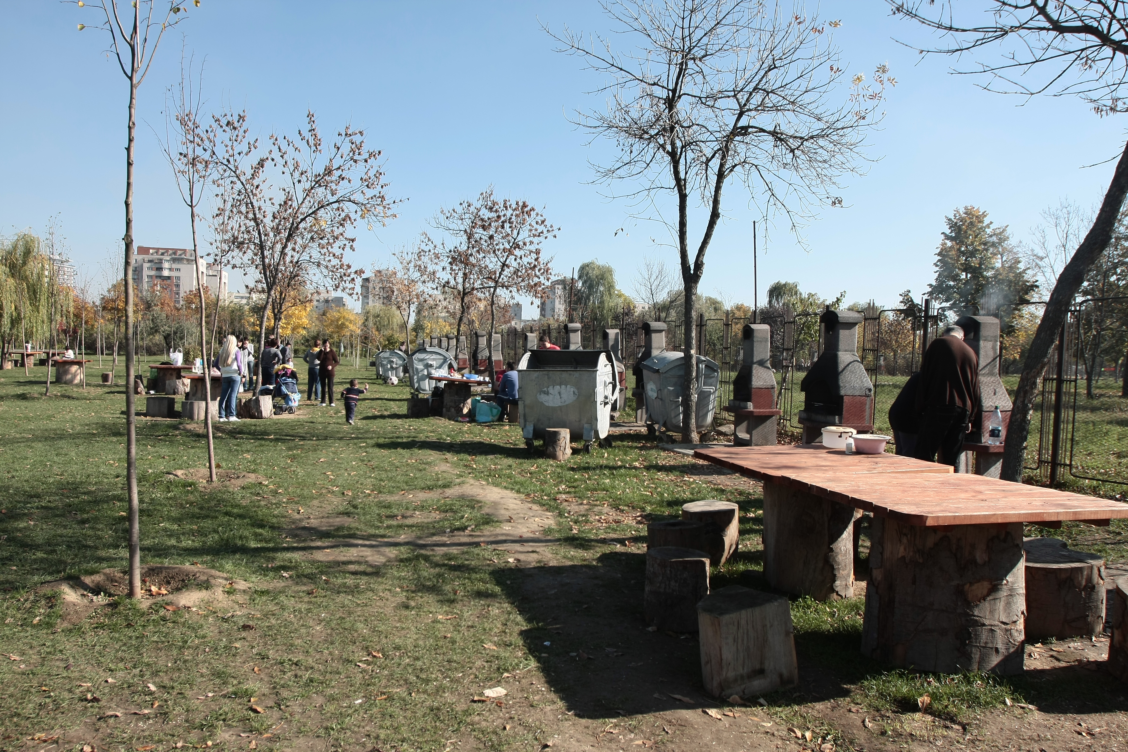 Bucurestenii la gratar in parcul Lumea Copiilor
