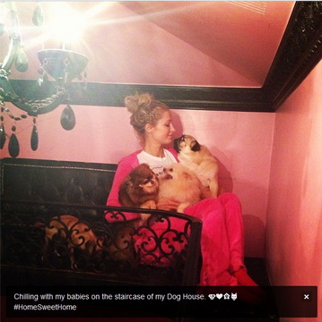 Paris Hilton alaturi de cateii sai in