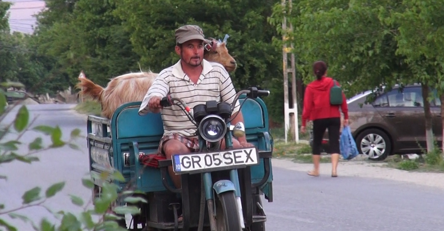 Caprita a fost plimbata cu motorisca prin tot satul