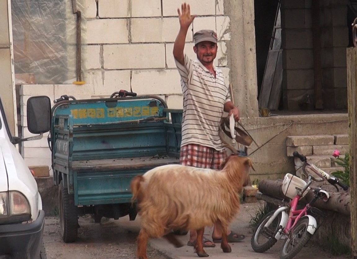 Caprita a fost plimbata cu motorisca prin tot satul