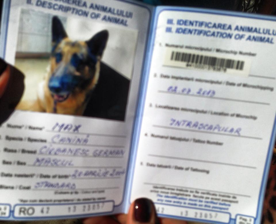 Ca sa-l scoata legal din tara pe Max, Carmen a luat si pasaportul cainelui din vila de la Snagov