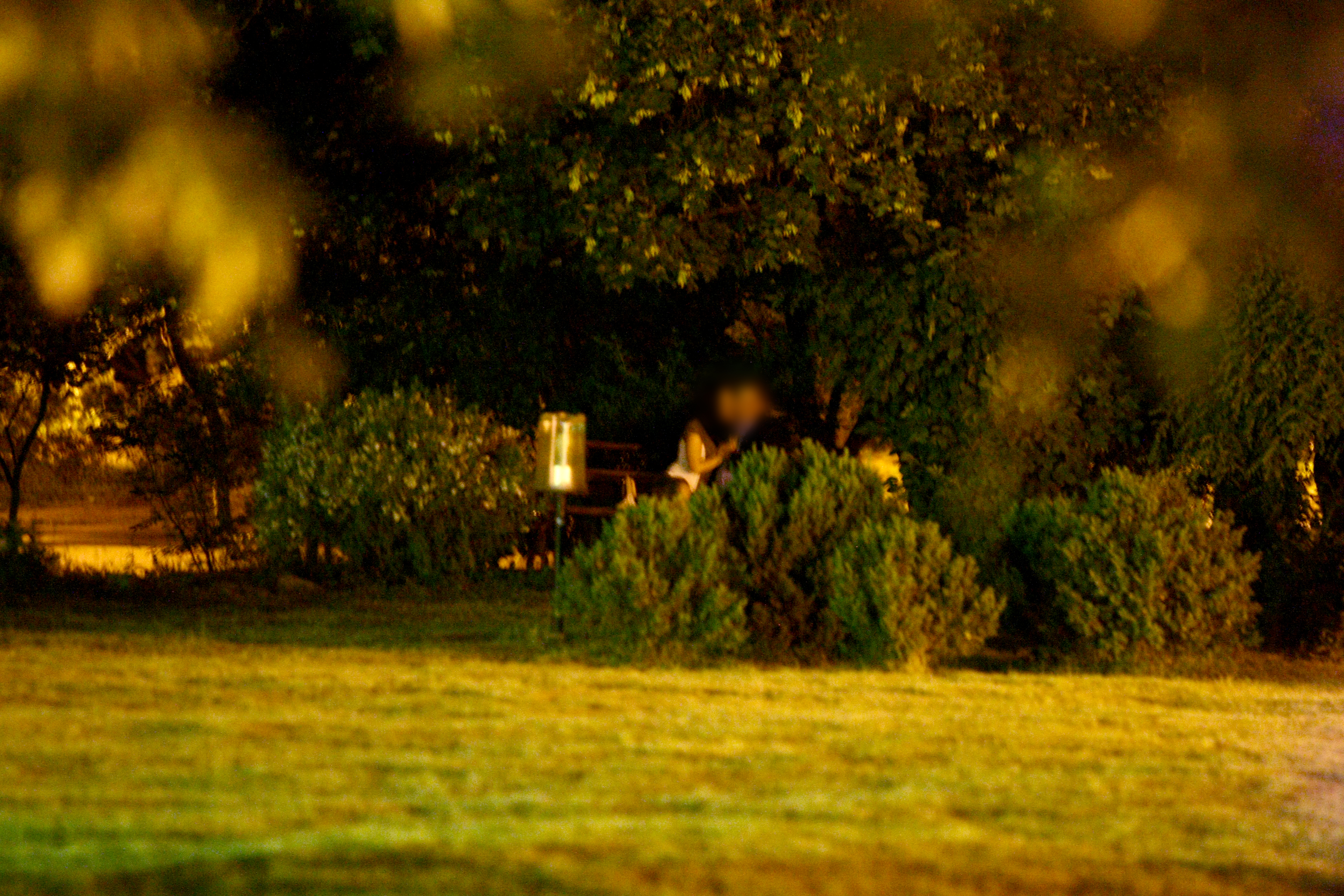 Politicianul si tanara s-au purtat extrem de tandru unul fata de celalalt, ca doi adolescenti indragostiti