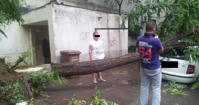 O masina a fost distrusa de un copac in zona Iancului