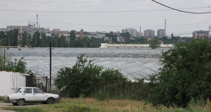 Serele in care ar putea lucra Gigi Becali se intind cat vezi cu ochii