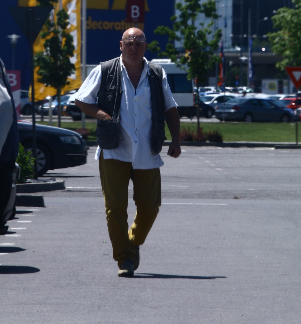 constantin cotimanis