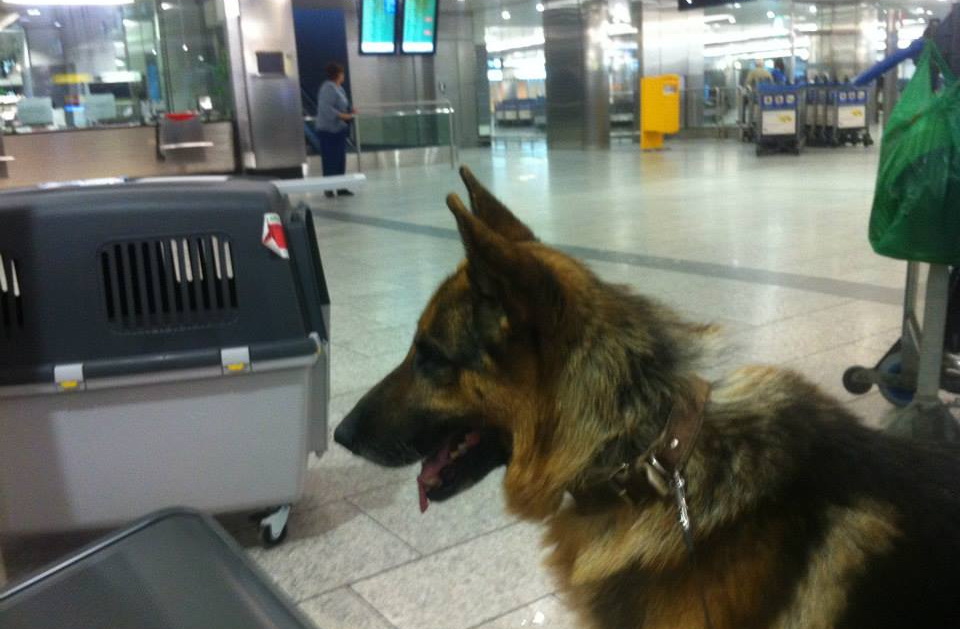 Carmen l-a pozat pe Max inclusiv pe Aeroportul din Zurich