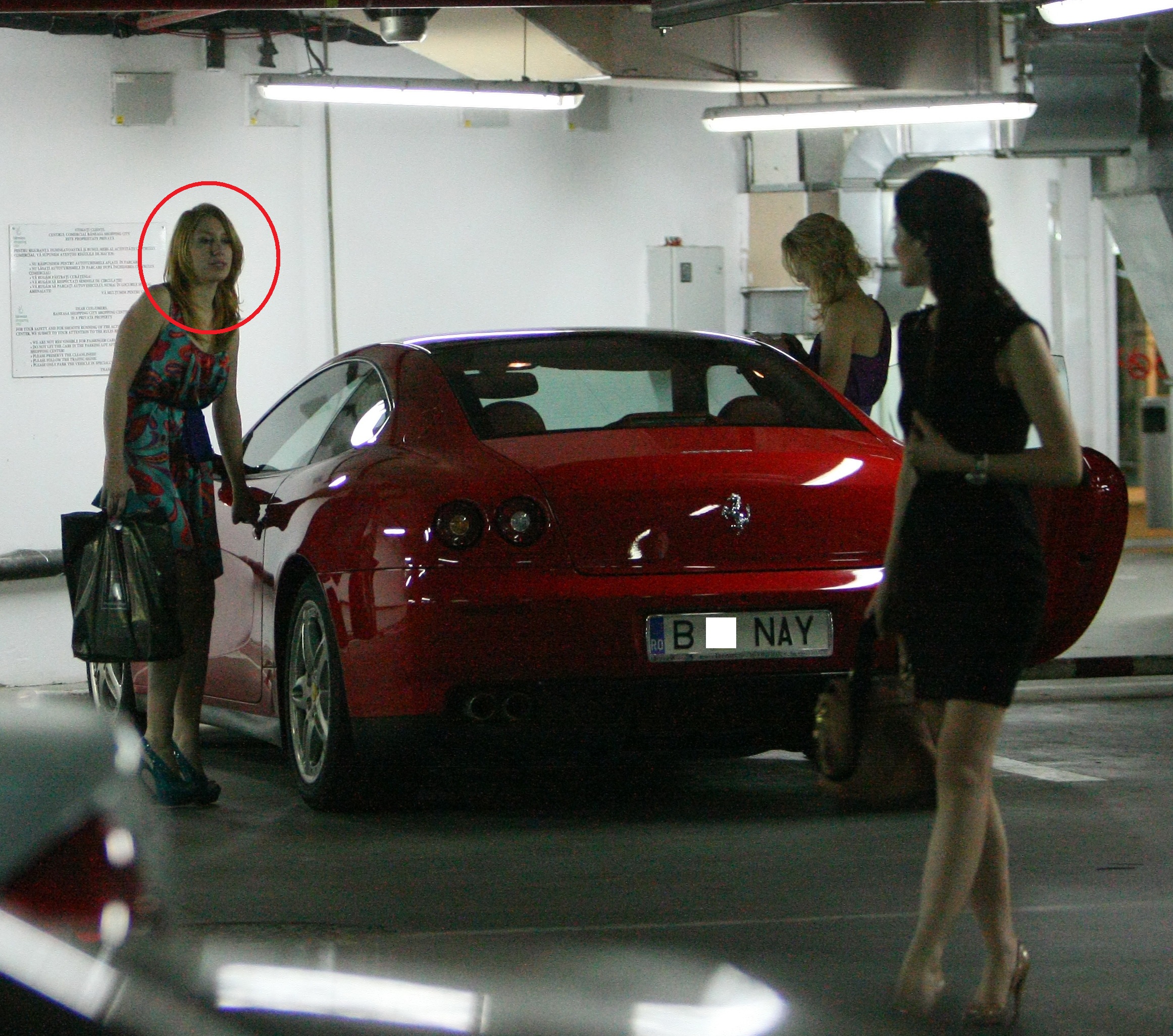 Mostenitoarea imperiului Interagro (in medalion) conduce la 23 de ani o adevarata 