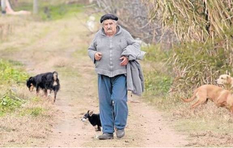 Jose Mujica are pe langa casa lui de la tara cativa maidanezi, printre care si o catlusa cu trei picioare, Manuela
