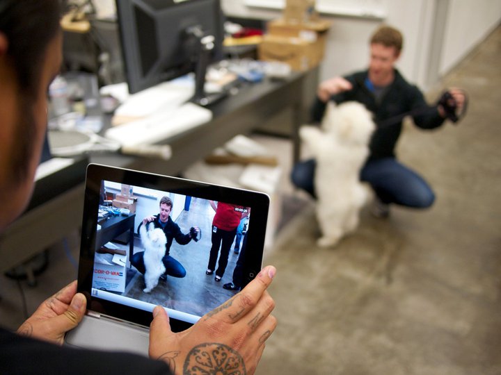 Mark alaturi de cainele sau Beast