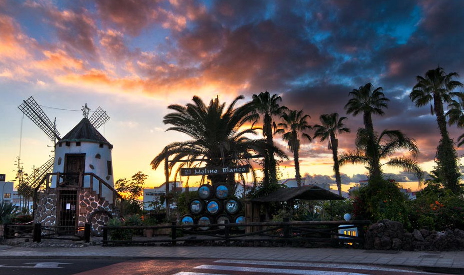 Cei doi s-au rasfatat la unul dintre restaurante de top din Tenerife, 