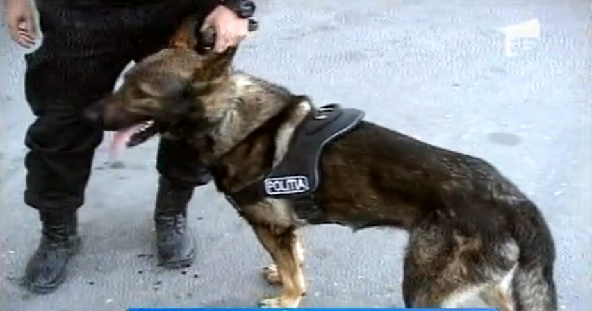 Ciobanescu care a salvat un copil bolnav de autism, disparut in Craiova