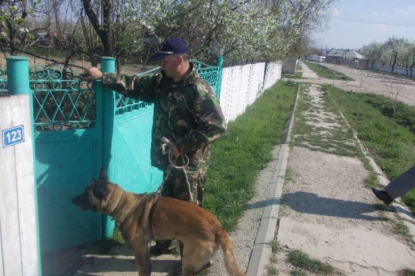 Un ciobanesc a reprodus traseul unui hot pana la domiciliul acestuia