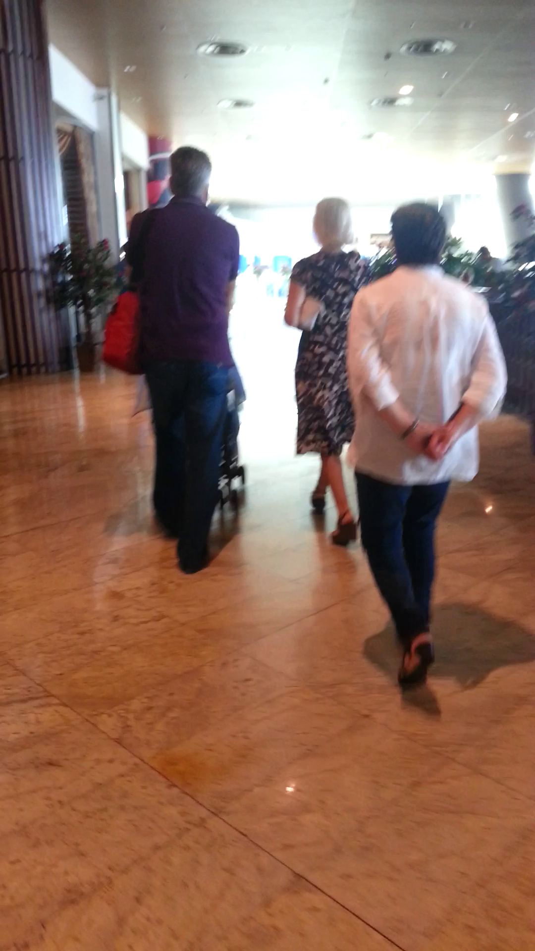 Gabi Firea si Florentin Pandele