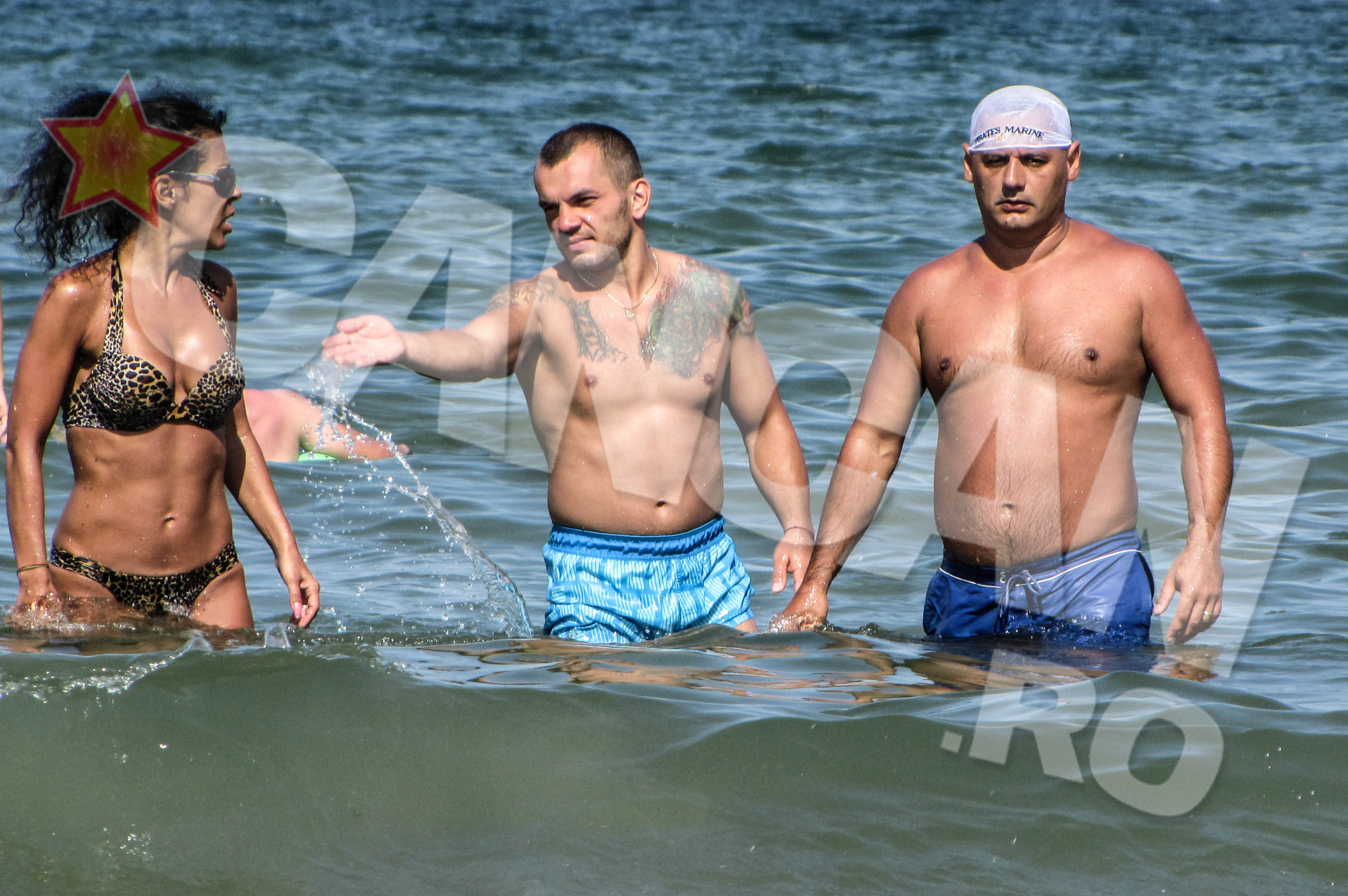 Pitbull Atodiresei a fost 