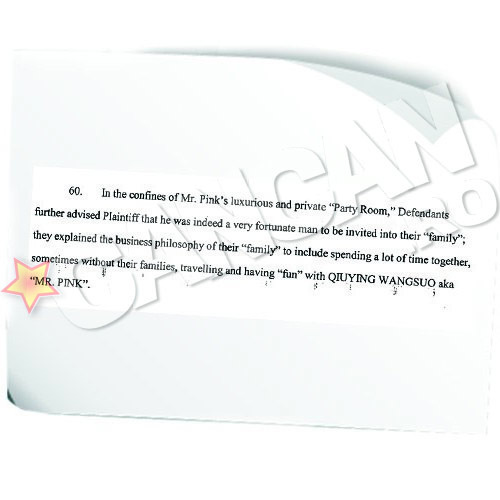 Facsimil din plangerea depusa de fostul director de la firma Mr Pink