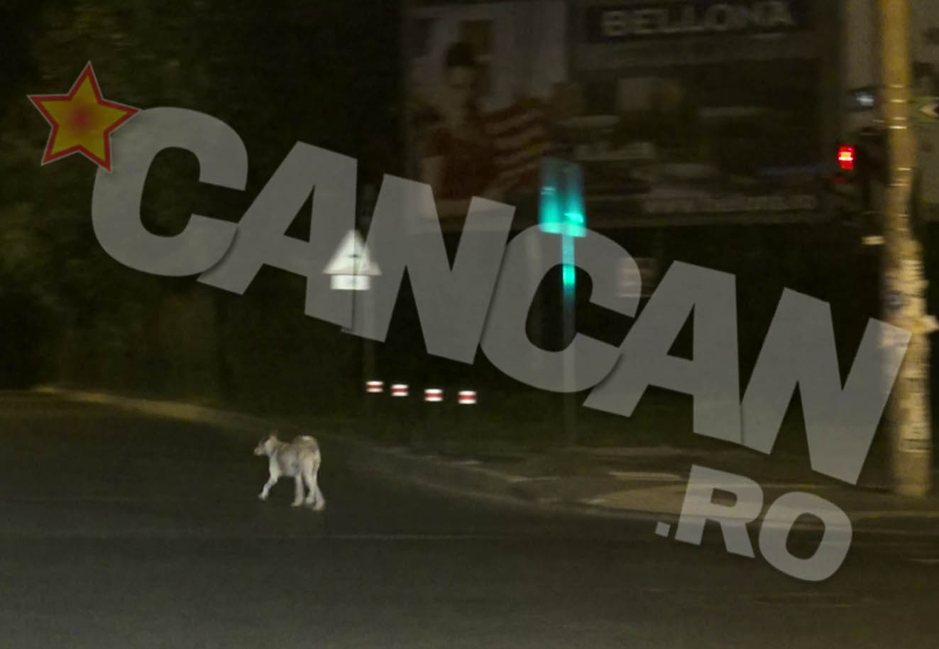 In loc sa treaca strada, a 