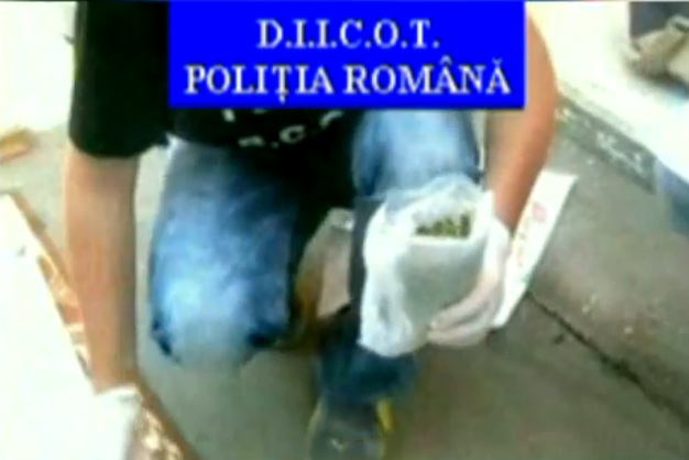 Droguri ascunse in cutii de detergent