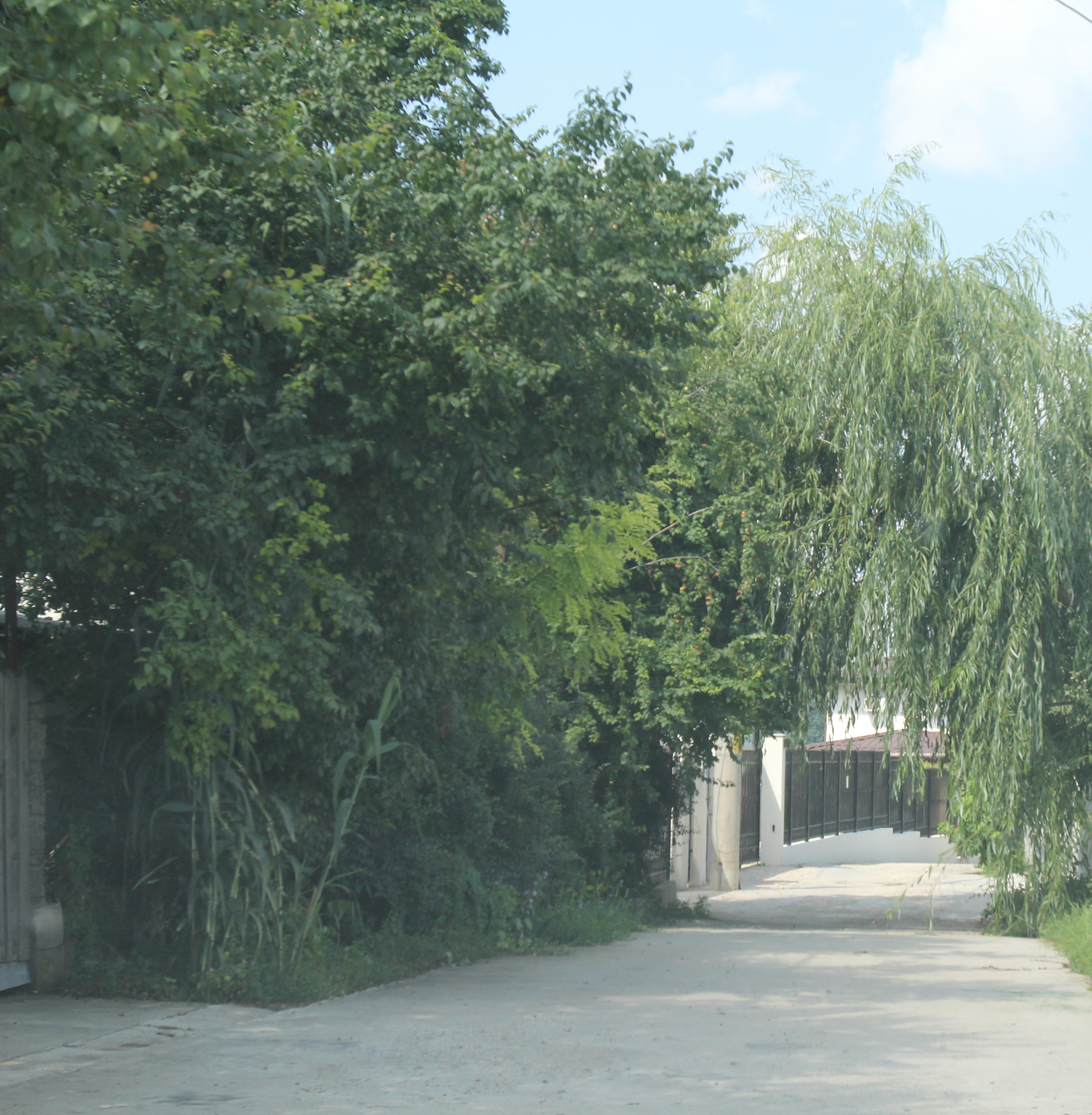 Strada pe care este situata vila lui Baranga duce la lac