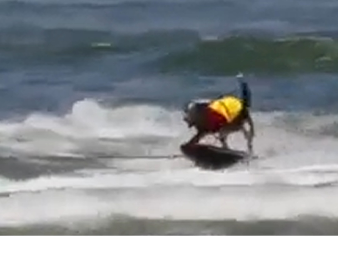 Jumpy adora surfingul