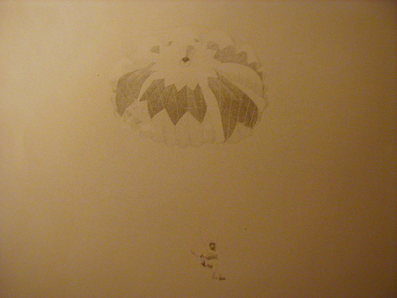 Primul zbor cu parasuta l-a facut la 17 ani