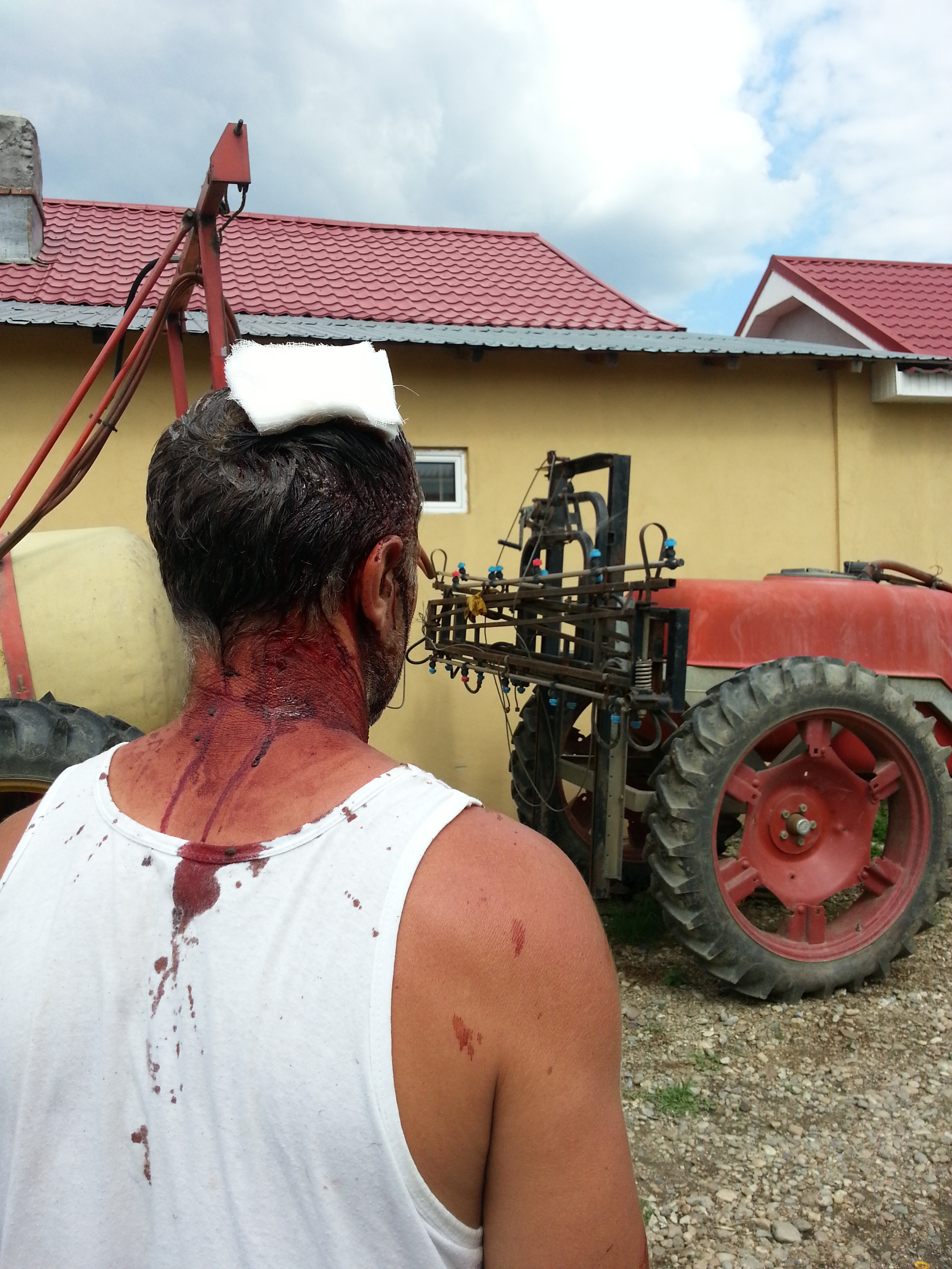 Petra Gheorghe s-a ales cu capul spart