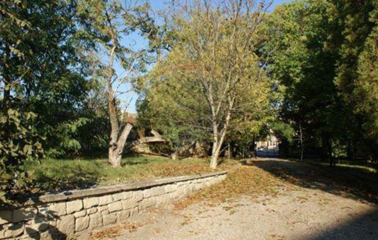 Vila are un parc generos