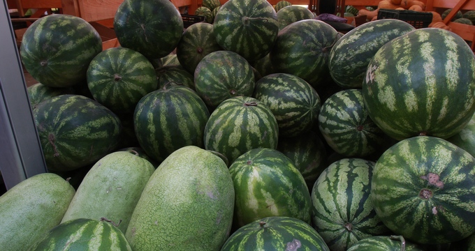 Salvarea pentru pepeni verzi nevanduti