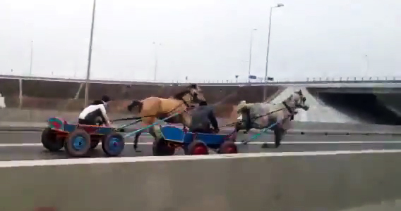 Cei doi carutasi s-au luat la intrecere pe autostrada(foto:youtube)