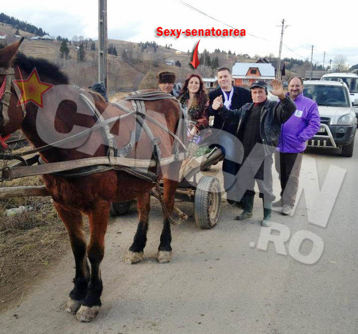 Sexy-senatoarea s-a simtit in largul ei... in caruta!