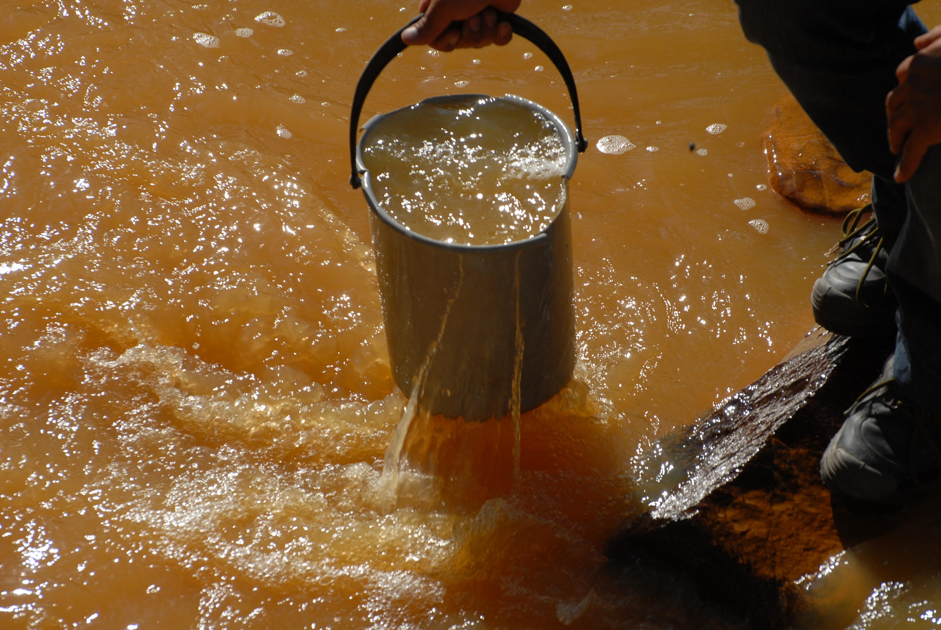 rosiamontanasimpla.org