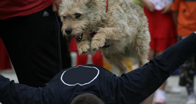 Codrut este antrenat sa gaseasca oameni sub daramaturi