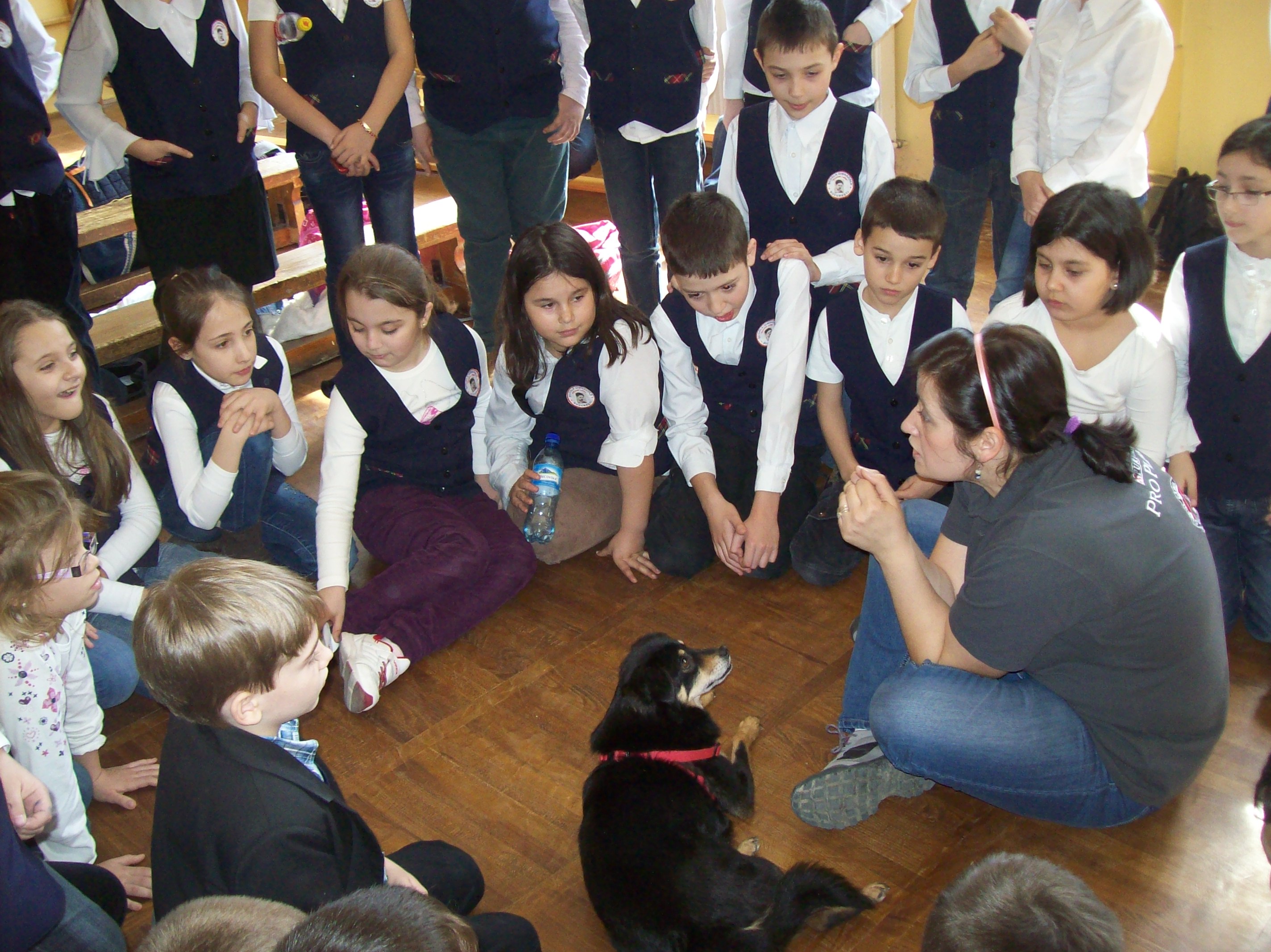 Cainii din clubul cainilor utilitari merg in scopuri educative la scoli