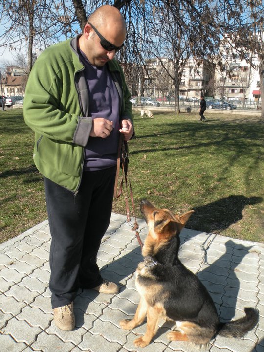 Cristian Anghel ne-a spus ca orice caine poate fi educat si antrenat, trebuie doar sa iti doresti asta