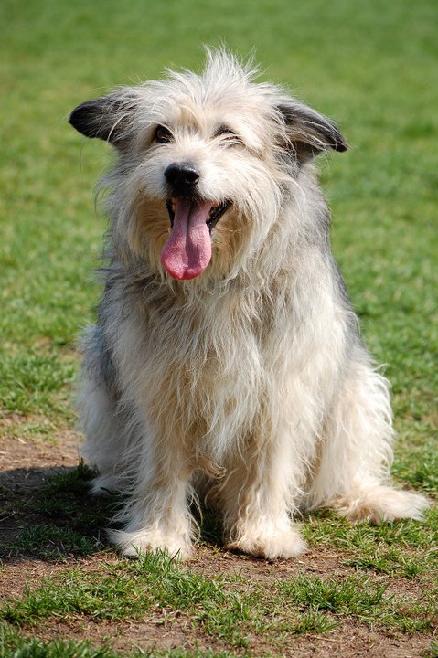 Codrut, 14 ani, este veteranul clubului