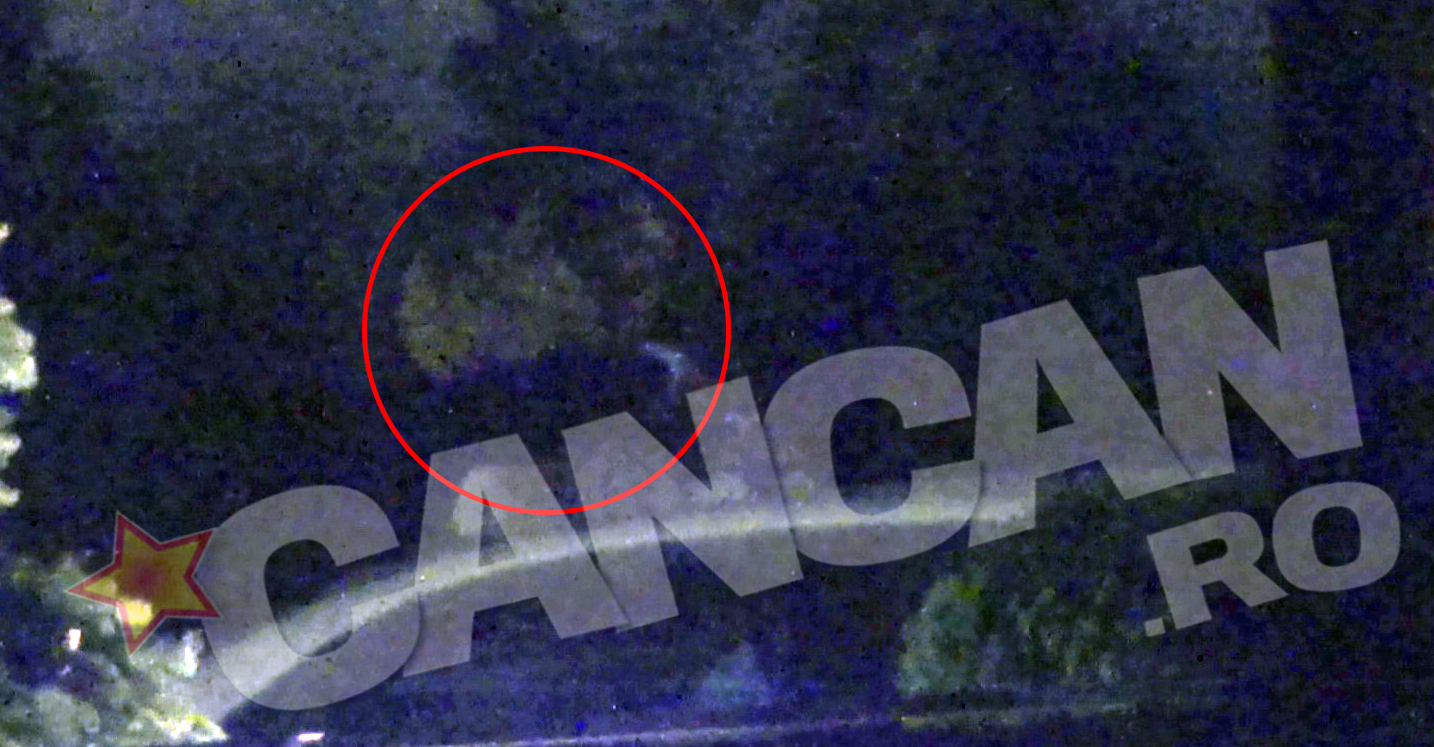 Ministrul si mamica s-au imbratisat minute in sir si au dansat pe ritmul unei melodii doar de ei auzite