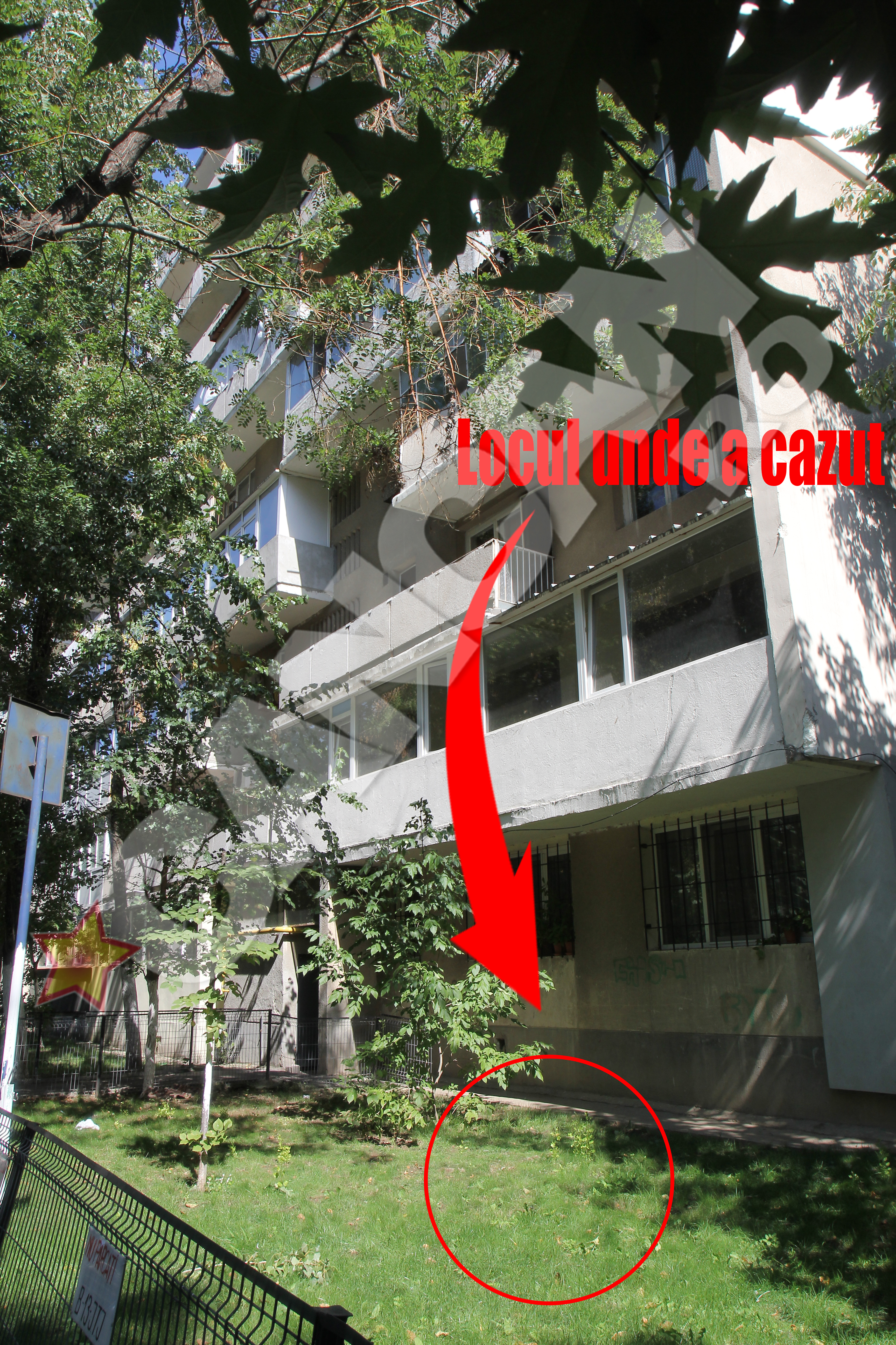 Micutul a cazut direct pe iarba, in curtea din spatele blocului