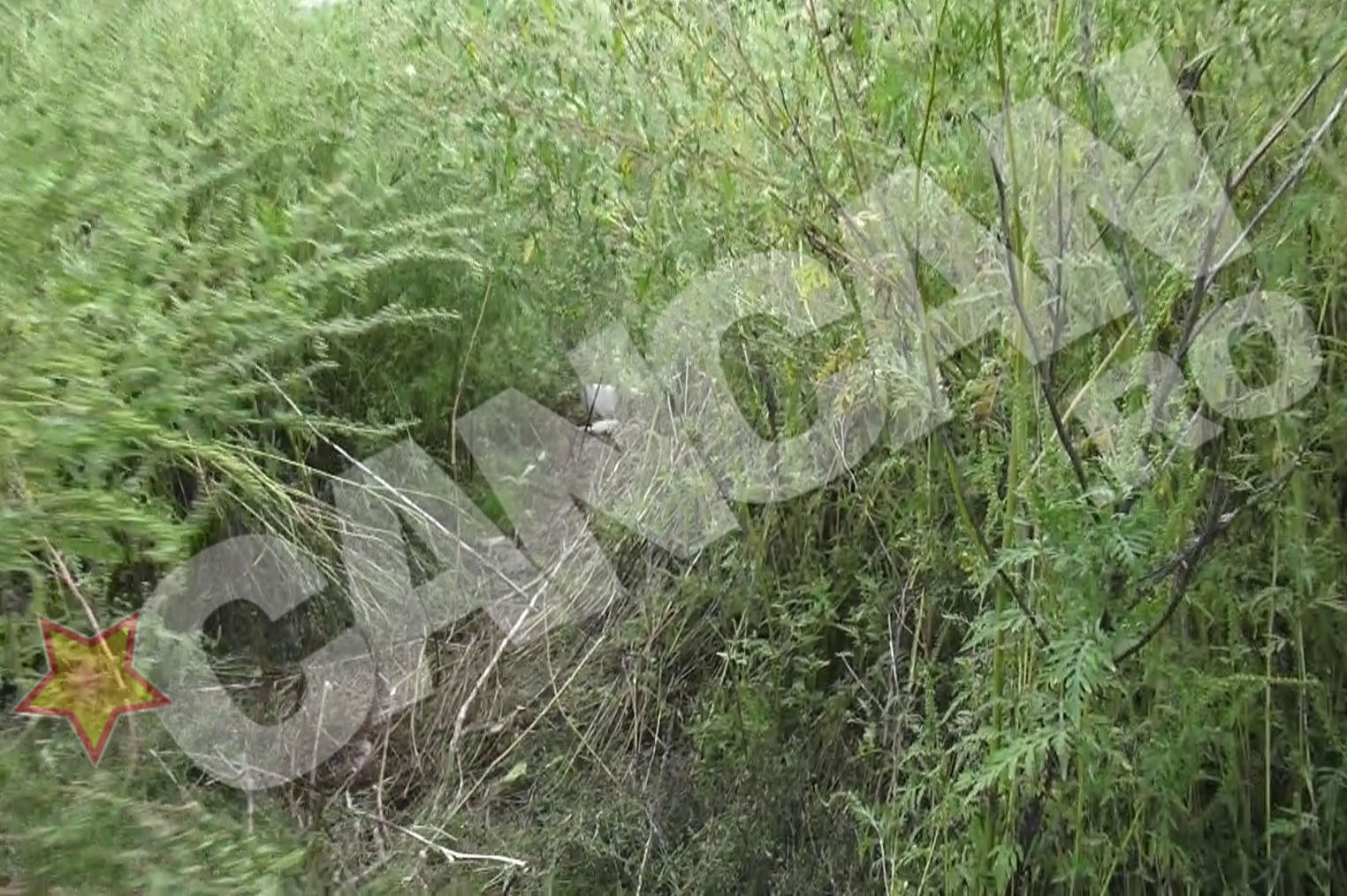 Intr-o anumita zona, balariile erau mai inalte decat baietii