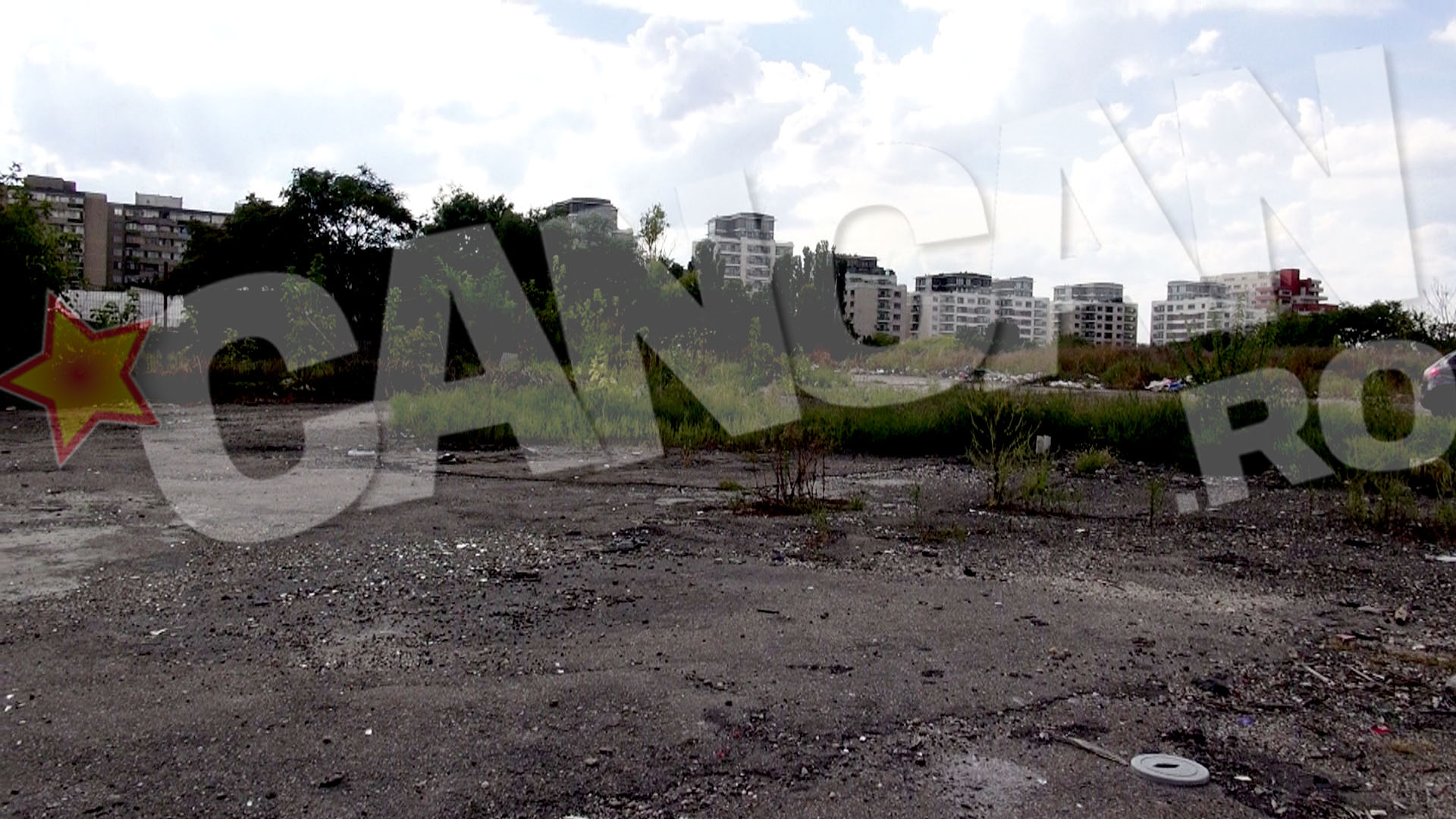 Asta au avut in fata ochilor copiii, in clipa in care au iesit din parc